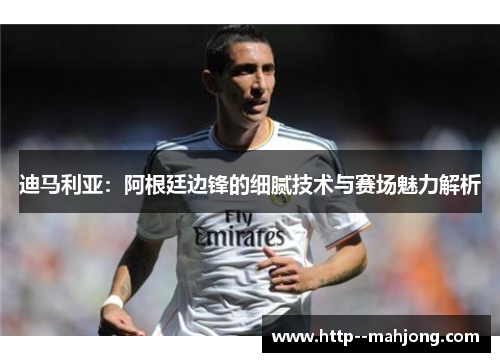 迪马利亚：阿根廷边锋的细腻技术与赛场魅力解析