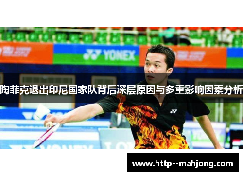 陶菲克退出印尼国家队背后深层原因与多重影响因素分析